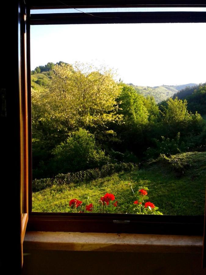 Agriturismo Il Casale Pica Posta 외부 사진