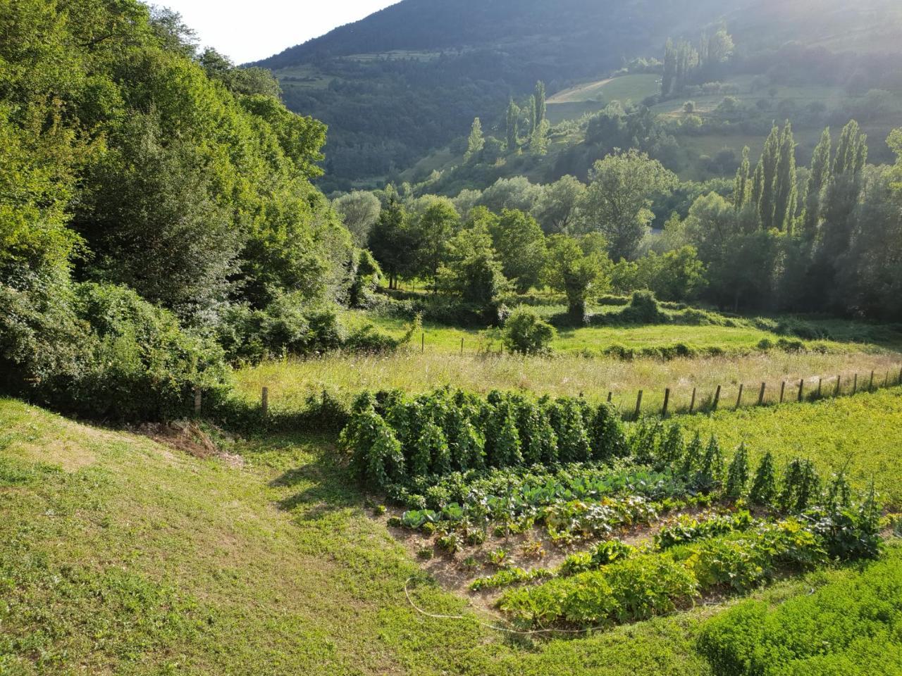 Agriturismo Il Casale Pica Posta 외부 사진